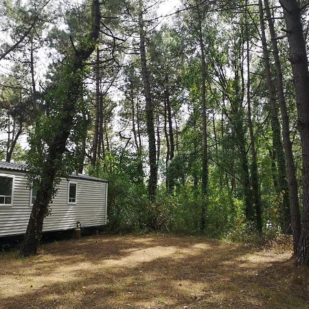Le Ilo - Camping La Dune Blanche Камье Экстерьер фото